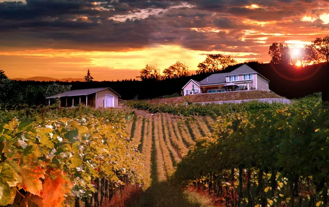 Skagit Crest Vineyard & Winery