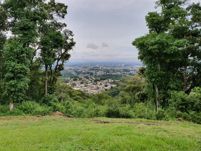 Bandera Mariscal Zavala