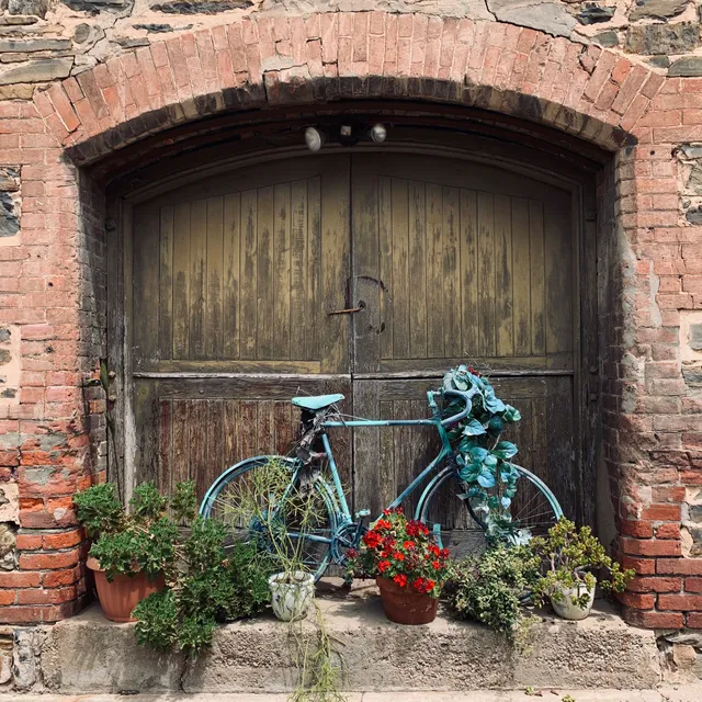 Jackalope Studio Gallery