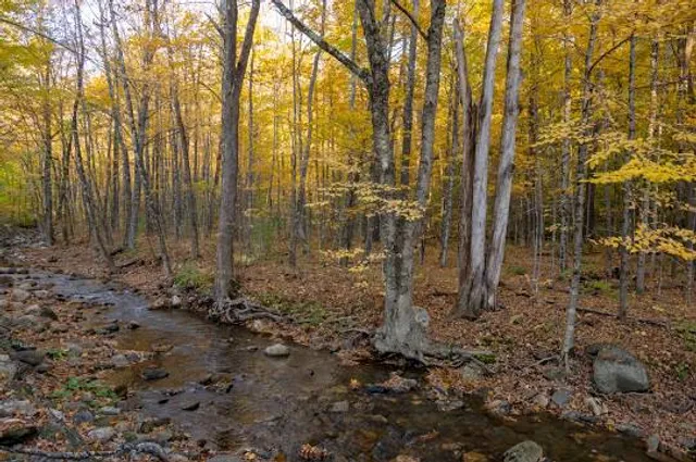 Camp Plymouth State Park