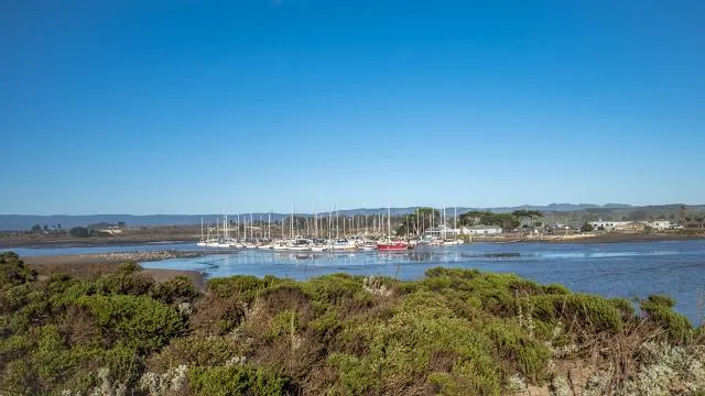 Passadiços de Alvor