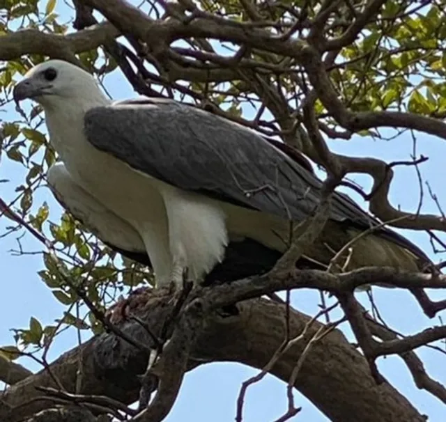 Palolem river adventure