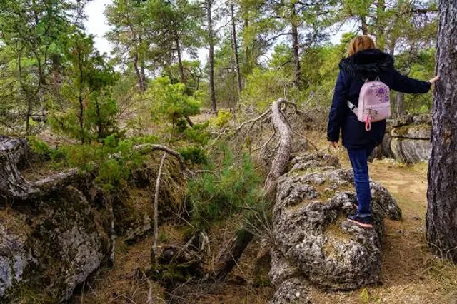 Rezerwat Archeologiczny Gród w Grzybowie