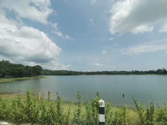 Phu Pha Daen Forest Park