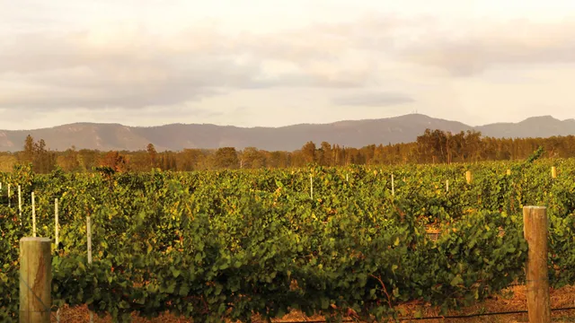 De Bortoli Wines, Hunter Valley