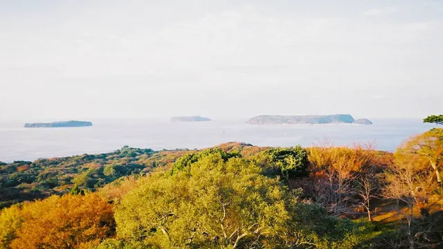 Mt. Kasayama Observatory 笠山山頂展望台
