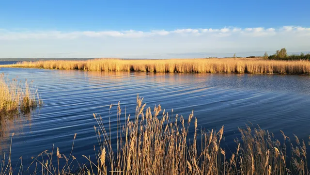 Ujście Wisły Królewieckiej