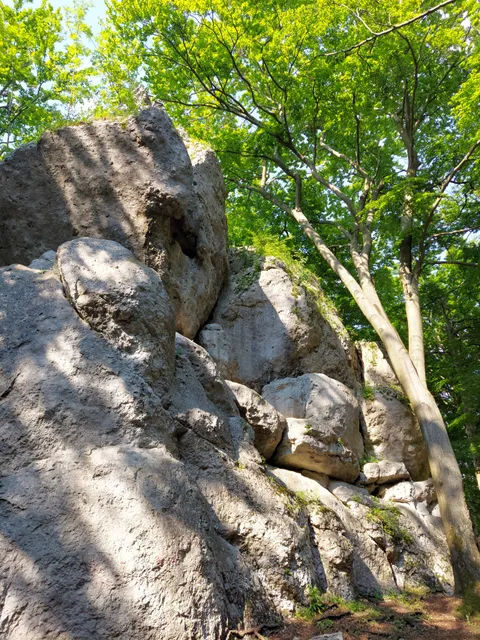 photo-1