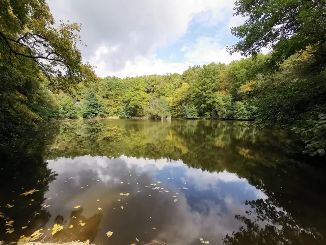 Királyréti Educational Trail