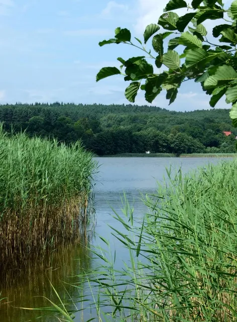 Jezioro Żółwińskie