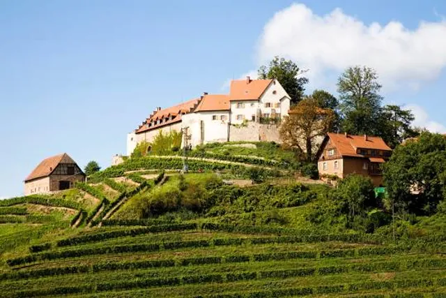 Burgruine Staufenberg