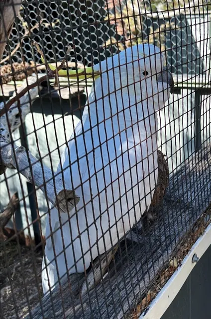 Australian Wildlife Park Botanic Garden Albany