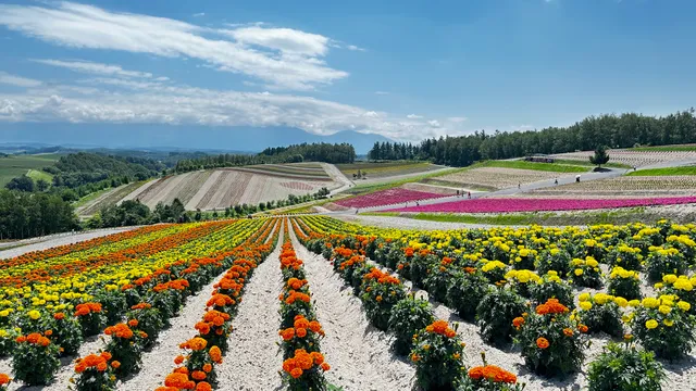 Shikisainooka Parking Lot