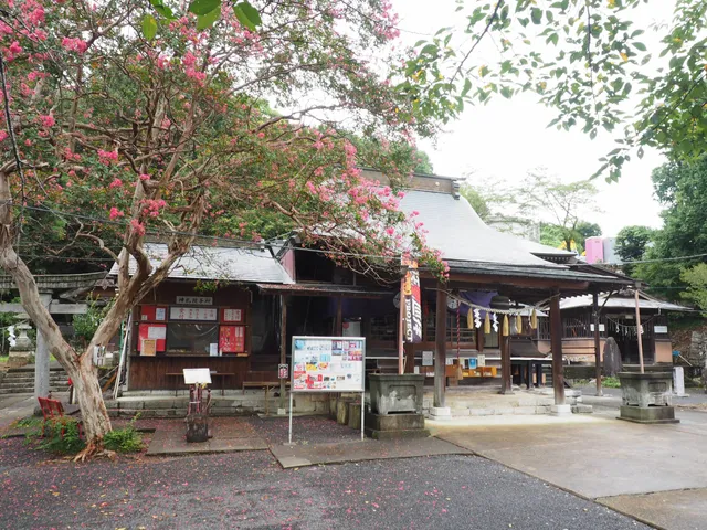 photo-1