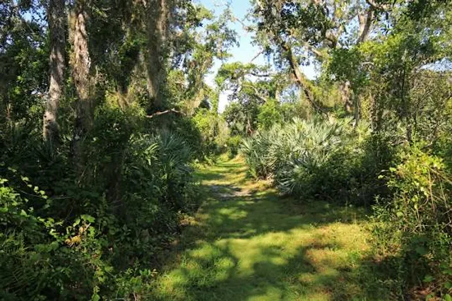 D.J. Wilcox Preserve