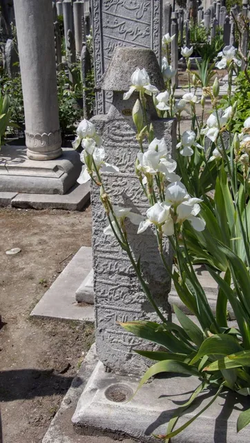 Yeşil (Sultaniye) Medresesi