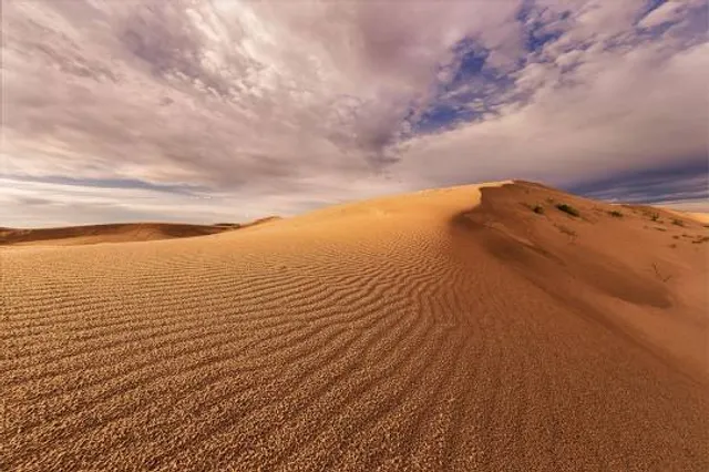 Monahans Sandhills State Park