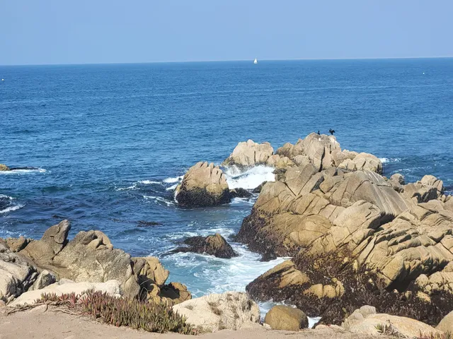 Pacific Grove View Point