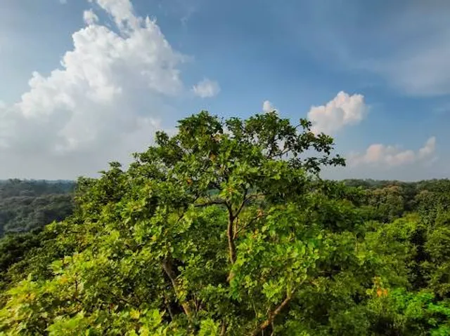 Satchari National Park