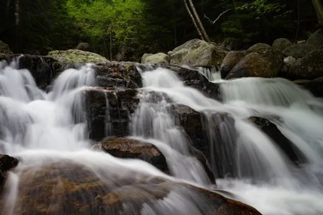 Great Gulf Wilderness Trailhead