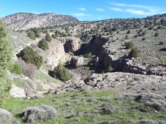 Sarany Protected Area