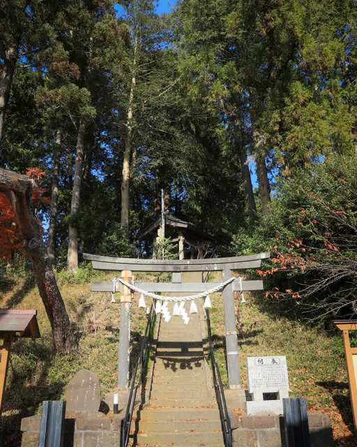 photo-3