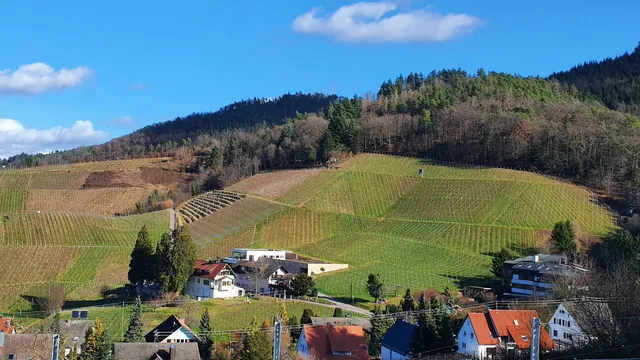 Familien-Weingut Renner