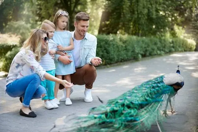 The Water Mill, Calbourne