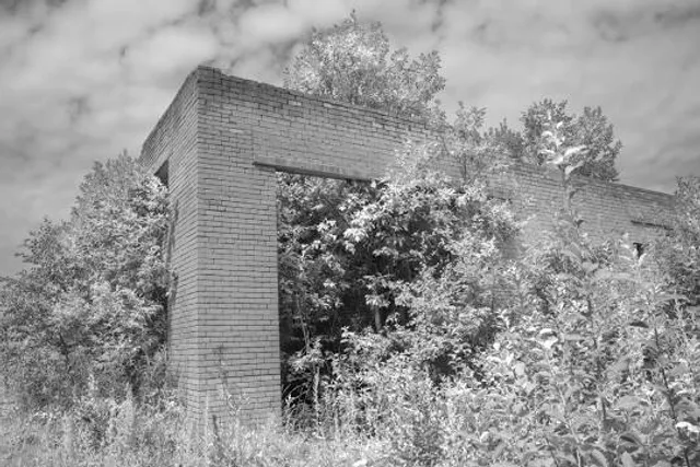 Sydney and Walda Besthoff Sculpture Garden