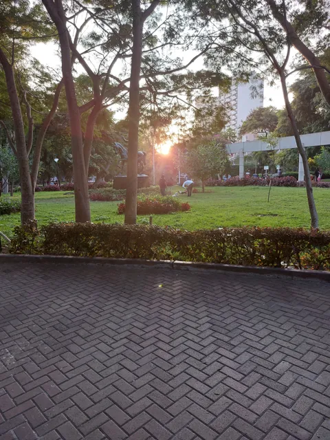 Mariscal Castilla Park