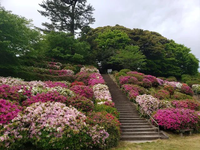 Hikawa Park