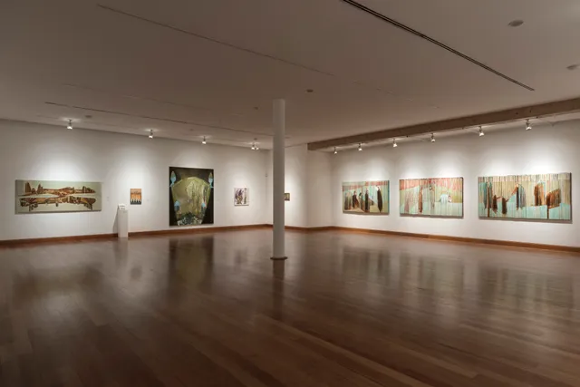 Museo de Artes Visuales (MAVI)