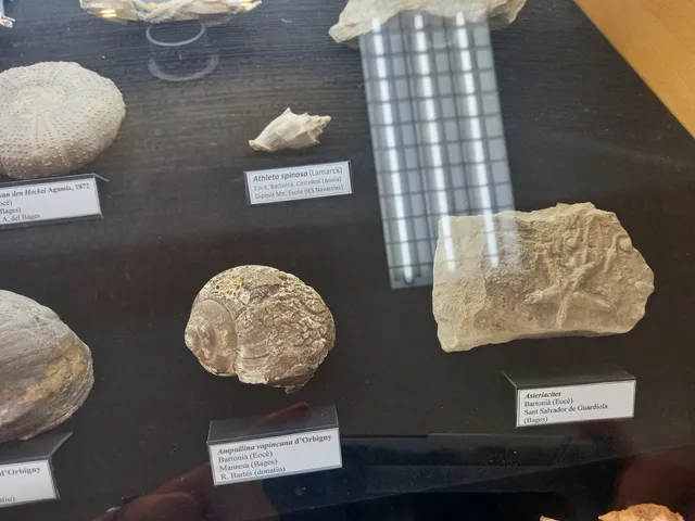 Museu de Geologia Valentí Masachs