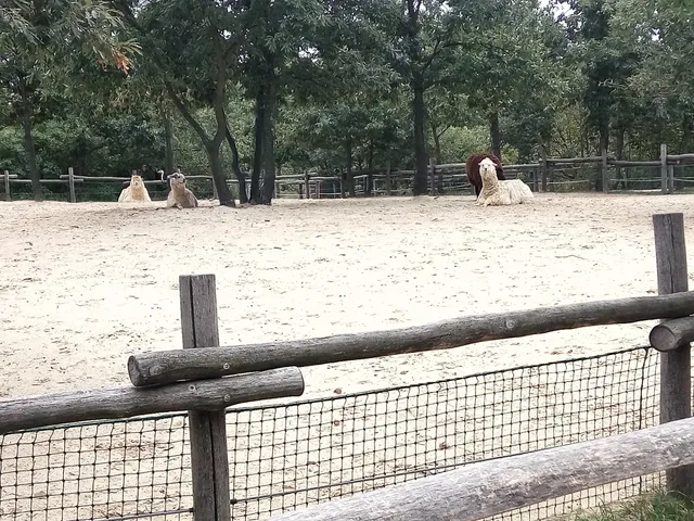 Kittenberger Kálmán Kht.