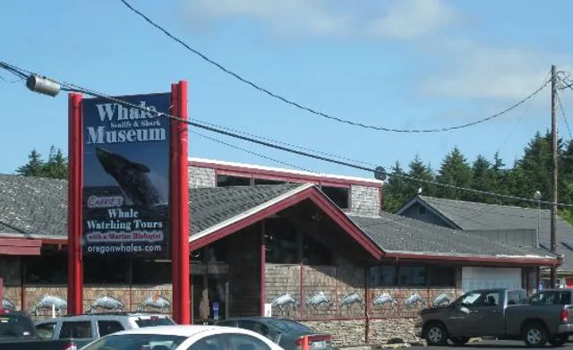 Whale, Sea Life, & Shark Museum