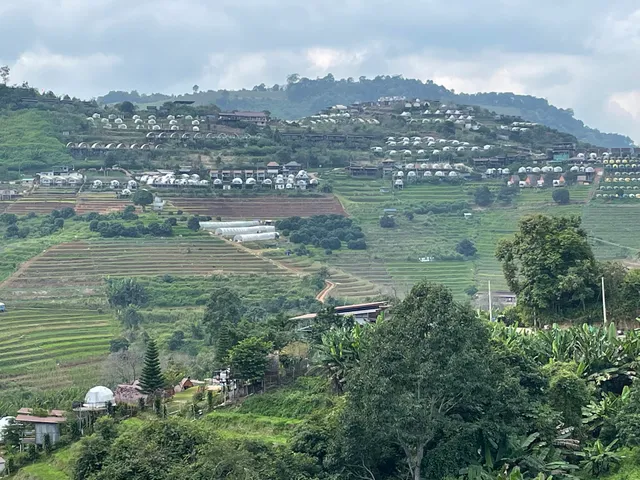 RAI DOI CHANG ไร่ดอยช้าง ม่อนแจ่ม