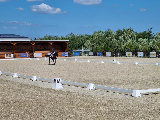 BLACK SEA HORSES Constanta