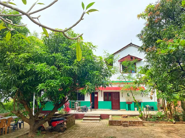 Jungle by sturmfrei Gokarna