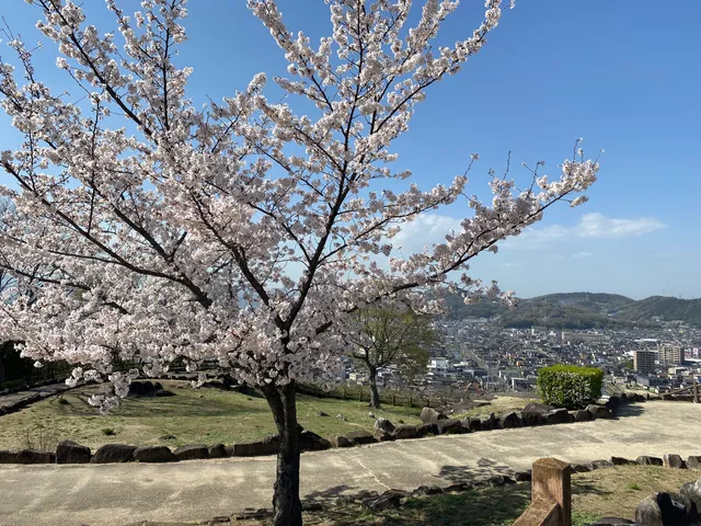 Kamejimayama Hana to Midori no Oka Park