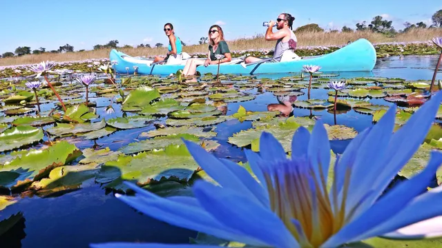 Vilanculos Canoe Safaris, Lda