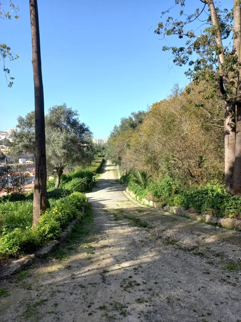 Parque da Mata da Madre de Deus