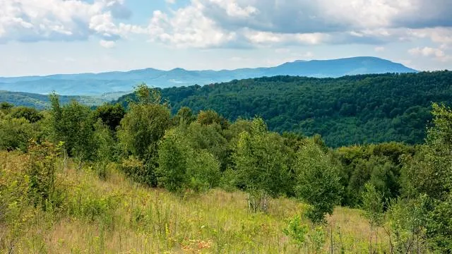 Antalovetsʹka Polyana