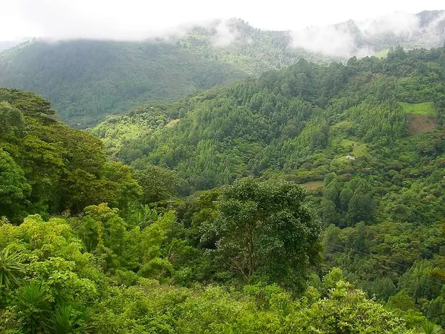 Parque Nacional La Tigra