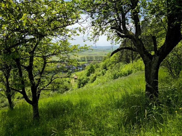Unterjesinger Wengertwegle