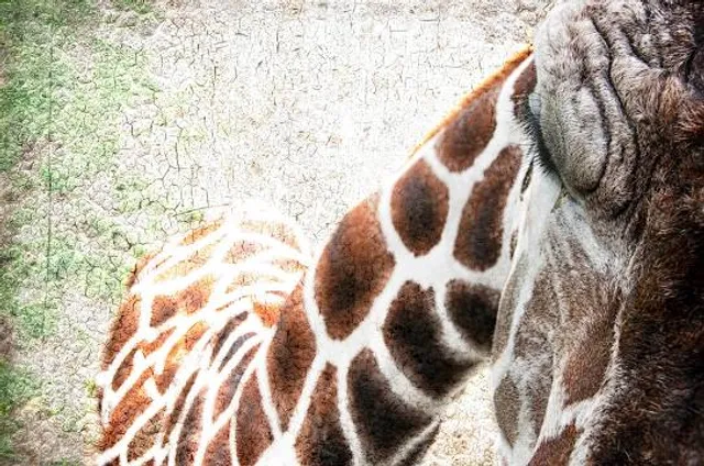 Cachoeira Paraíso do Cerrado