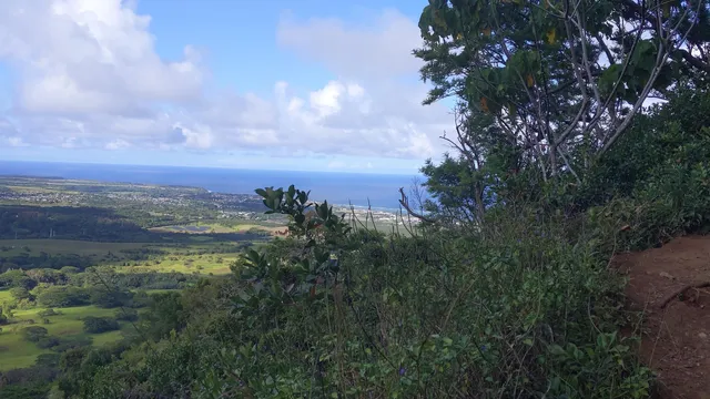Kuamo'o Nounou Trail