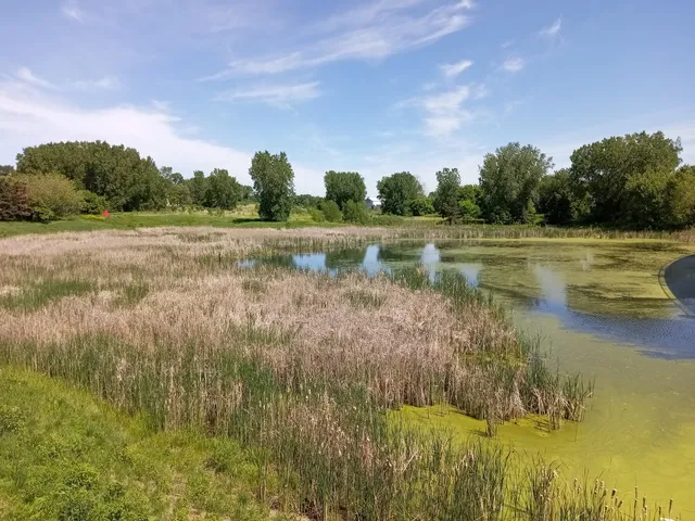Trout Brook Nature Sanctuary