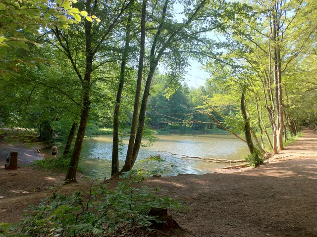 Schallbrunner Weiher
