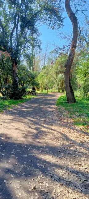 Bosco di Palo Laziale