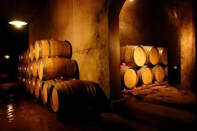 Bodega Pulmary - Vinos Orgánicos